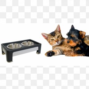 Cat - Whiskers Cat Dog Pet Shop PNG