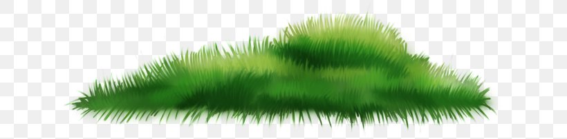 .de .net Picnic Friendship LiveInternet, PNG, 640x202px, Net, Friendship, Grass, Grass Family, Green Download Free