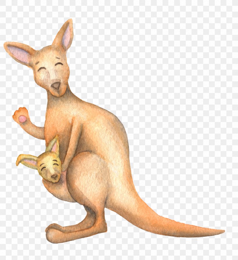 Koala Kangaroo Cartoon, PNG, 848x926px, Koala, Animal, Art, Carnivoran, Cartoon Download Free