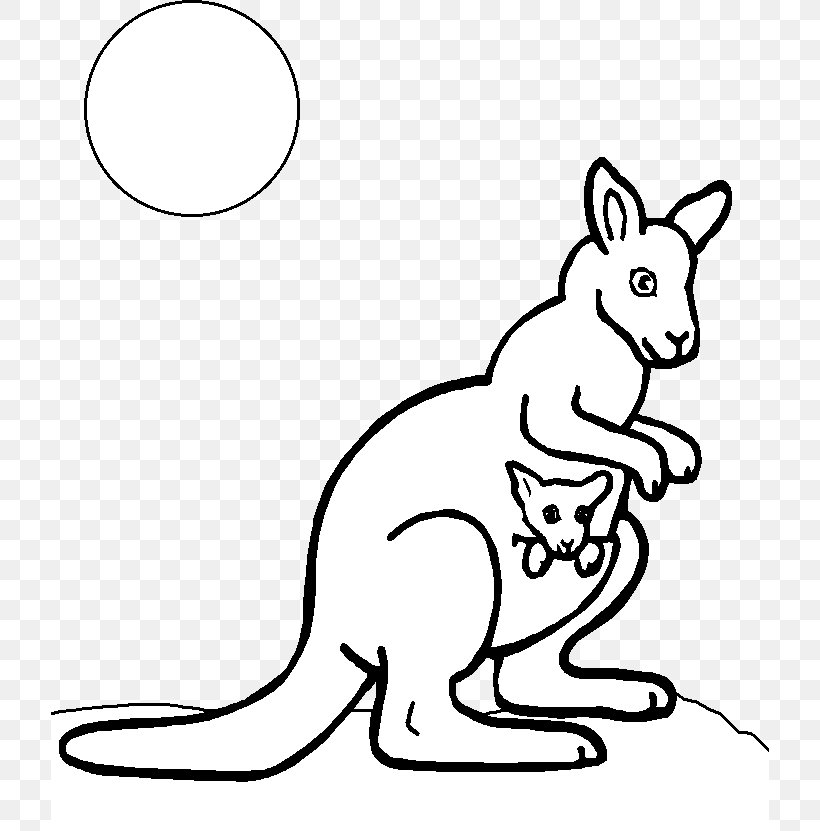Download Red Kangaroo Coloring Book Child, PNG, 718x831px, Red ...