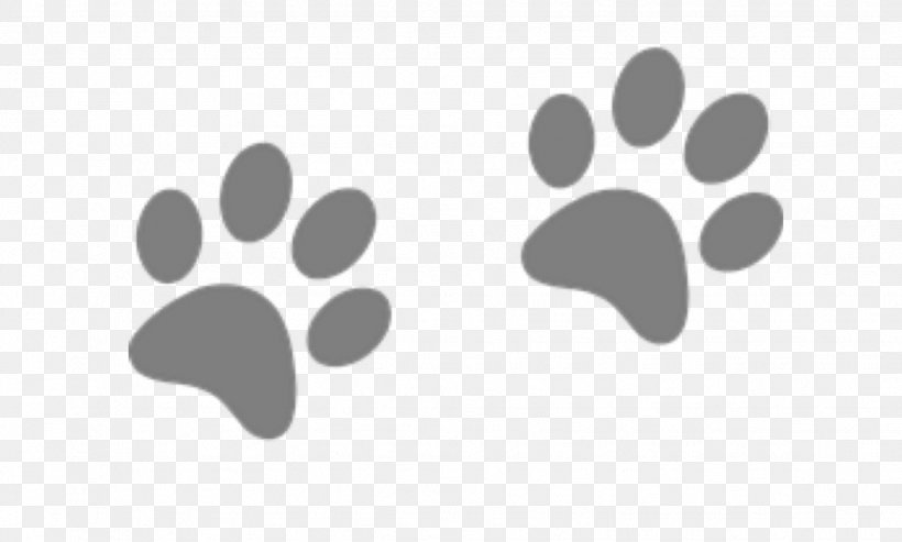 Cat And Dog Cartoon, PNG, 1746x1051px, Cat, Blackandwhite, Cartoon, Claw, Dog Download Free