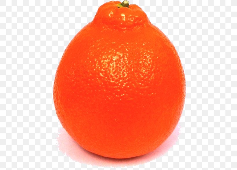 Clementine Mandarin Orange Tangerine Blood Orange Tangelo, PNG, 467x587px, Clementine, Acid, Bitter Orange, Blood, Blood Orange Download Free