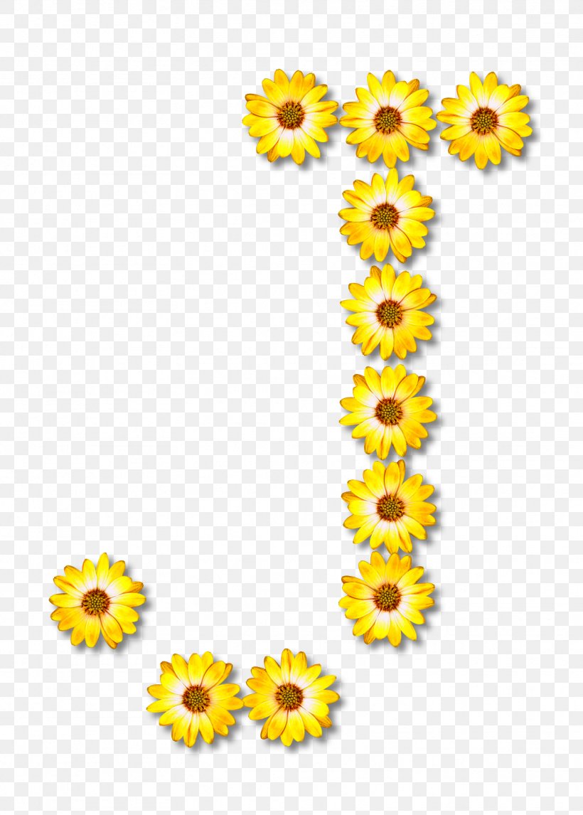 Common Sunflower Clip Art, PNG, 1717x2400px, Flower, Alphabet, Common Sunflower, Cut Flowers, Daisy Family Download Free