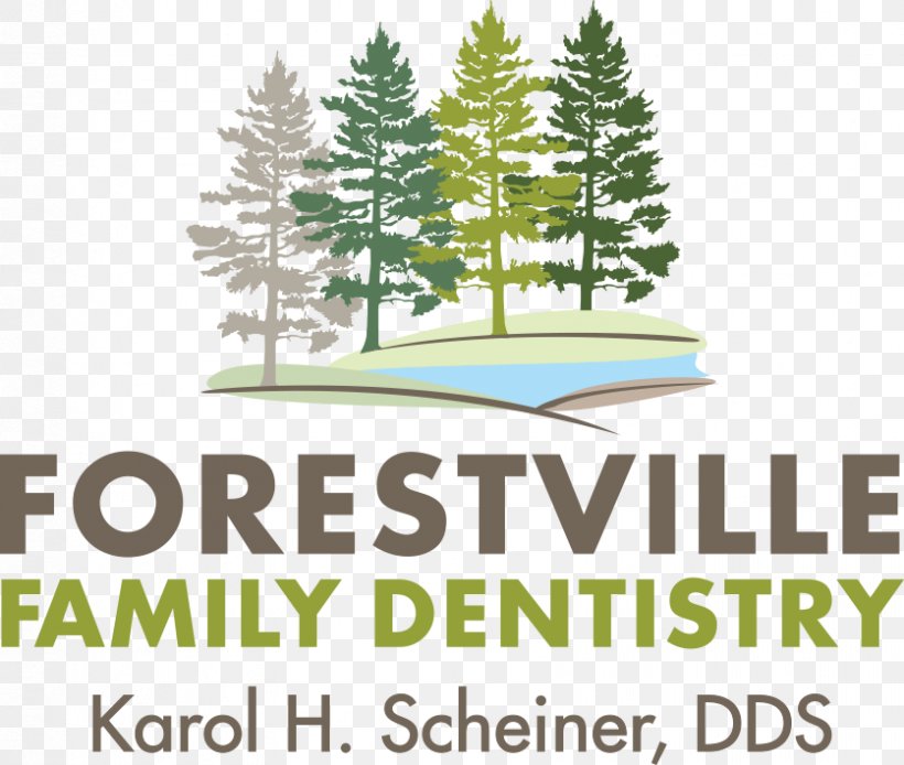 Forestville Spruce Logo Dentistry, PNG, 836x708px, Spruce, Area, Brand, California, Conifer Download Free