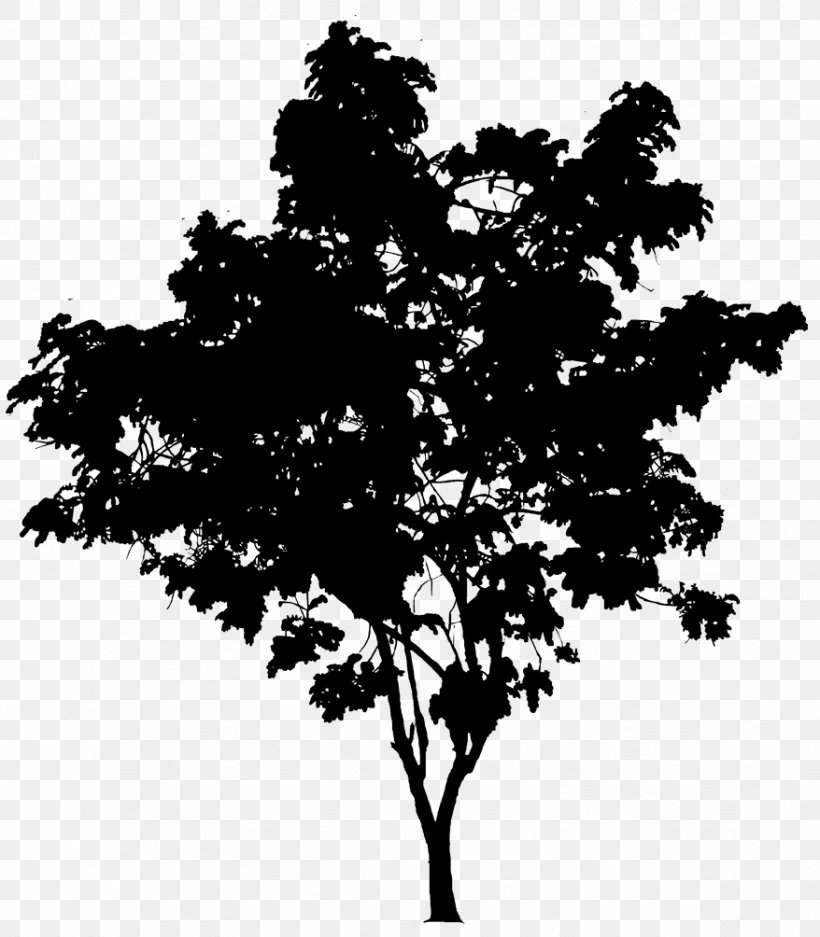 Oak Tree Drawing, PNG, 878x1004px, Branch, Architecture, Blackandwhite, Christmas Tree, Drawing Download Free