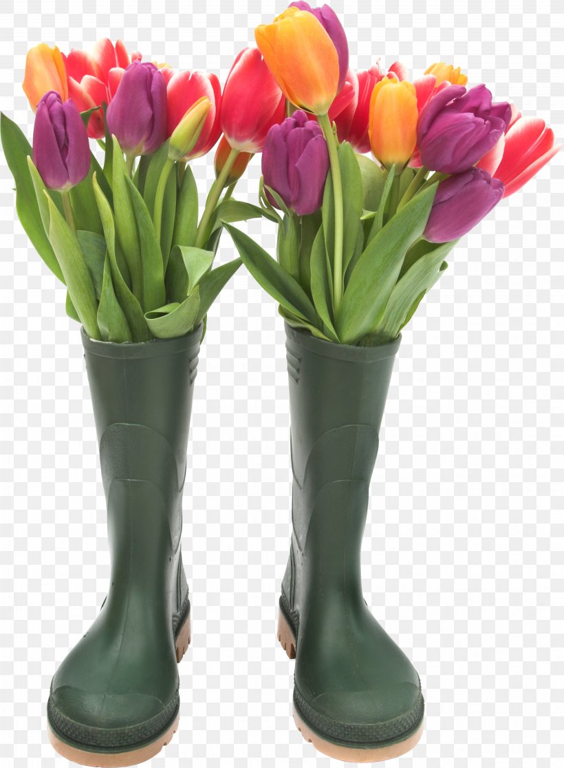 Slipper Galoshes Wellington Boot Footwear, PNG, 3871x5265px, Slipper, Artificial Flower, Boot, Clothing, Cut Flowers Download Free