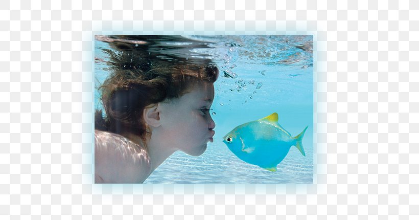 Child Piscina Bioclimática Underwater Photography, PNG, 696x430px, Child, Aqua, Camera, Digital Cameras, Digital Image Download Free