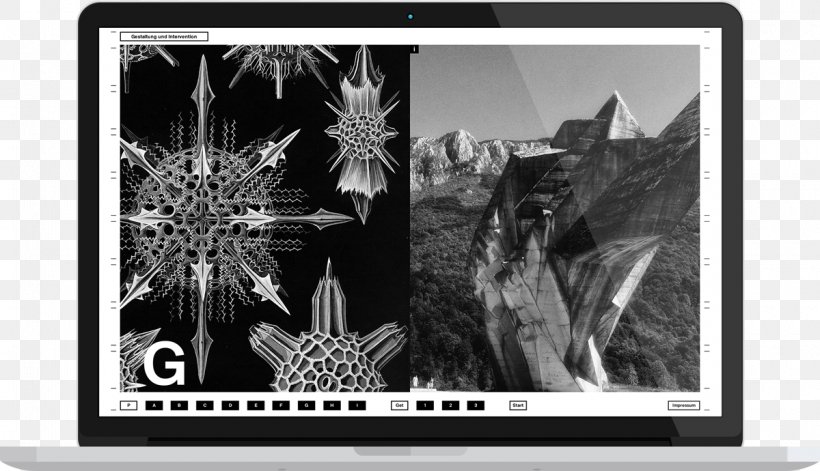 Paper Photography Picture Frames Multimedia, PNG, 1200x690px, Paper, Art, Black And White, Brand, Ernst Haeckel Download Free