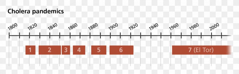 1961–75 Cholera Pandemic Cholera Outbreaks And Pandemics Disease, PNG, 1200x374px, 20th Century, Cholera, Bacteria, Brand, Cholera Outbreaks And Pandemics Download Free