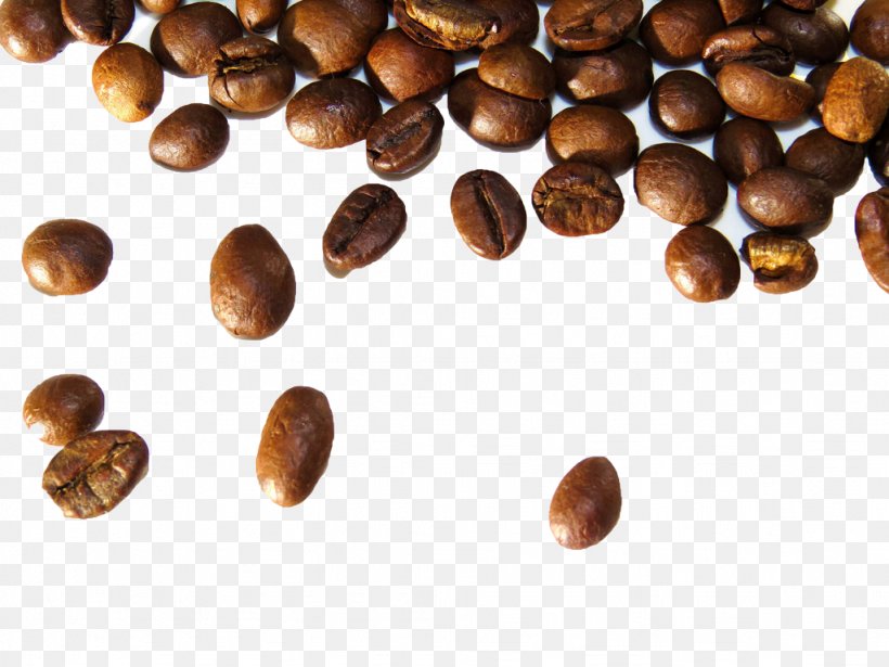 Coffee Marketing Chocolate-coated Peanut Garcinia Cambogia Food, PNG, 1024x768px, Coffee, Arabica Coffee, Bean, Brand Management, Caffeine Download Free
