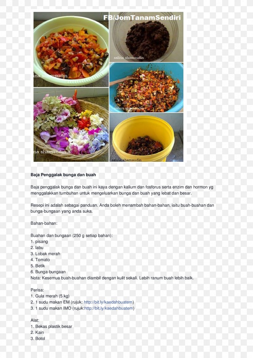 Fertilisers Organic Fertilizer Vegetarian Cuisine Superfood, PNG, 1653x2339px, Fertilisers, Chemistry, Food, Fruit, October Download Free
