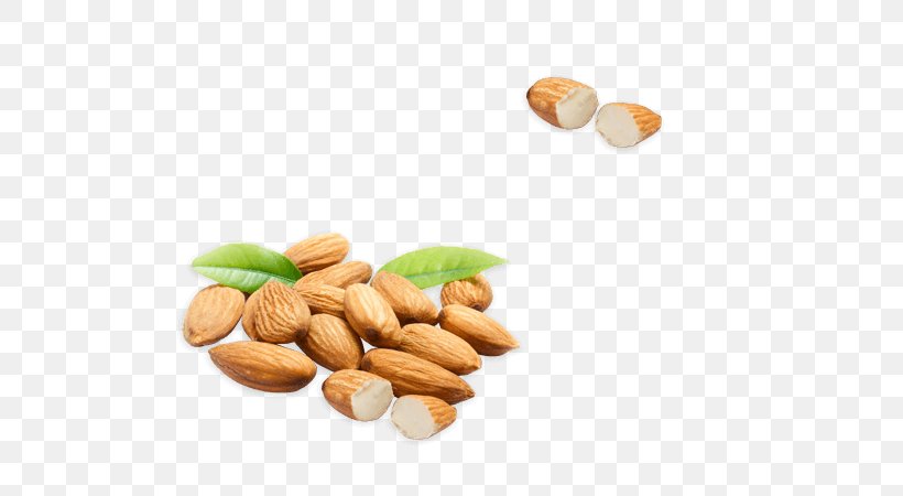 Almond Food Nut Ingredient Cashew, PNG, 600x450px, Almond, Almond Meal, Apricot Kernel, Bean, Cashew Download Free
