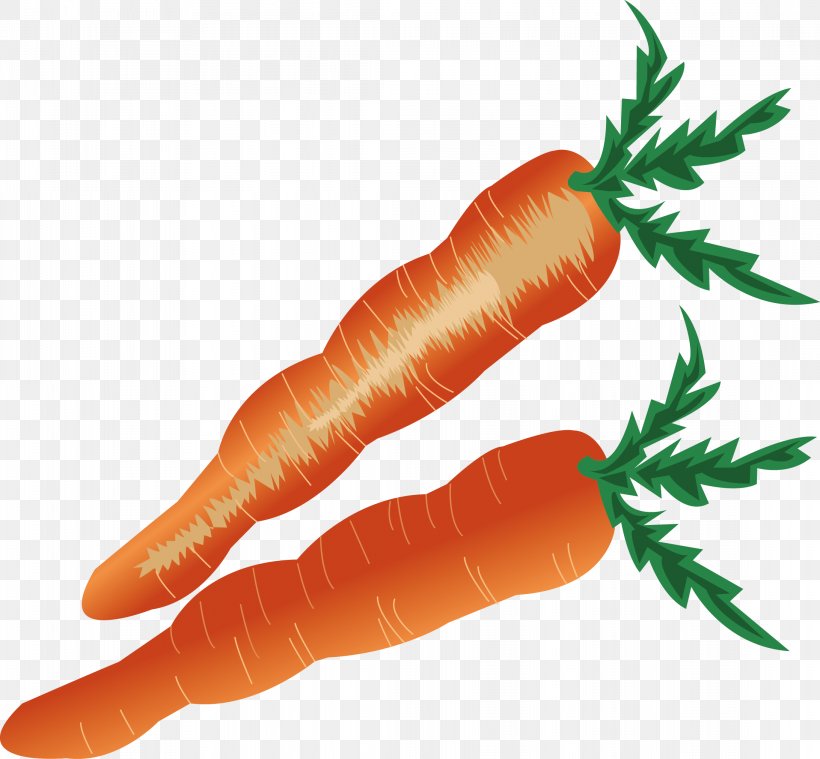 Baby Carrot, PNG, 2184x2024px, Baby Carrot, Artworks, Carrot, Cartoon, Daucus Carota Download Free