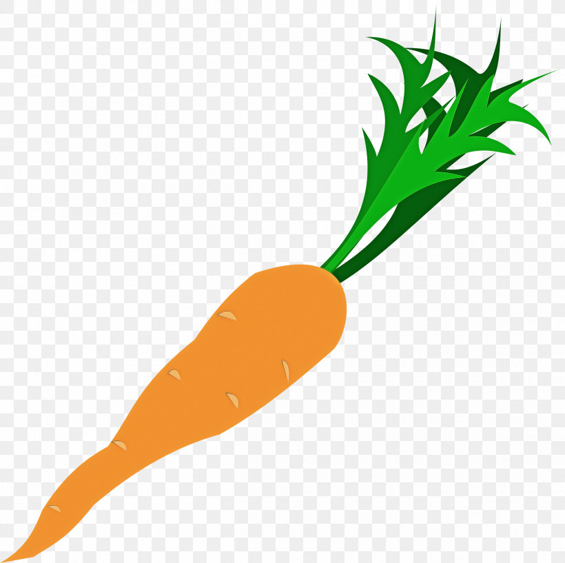 Carrot Root Vegetable Vegetable Radish Baby Carrot, PNG, 2400x2393px, Carrot, Baby Carrot, Plant, Radish, Root Vegetable Download Free