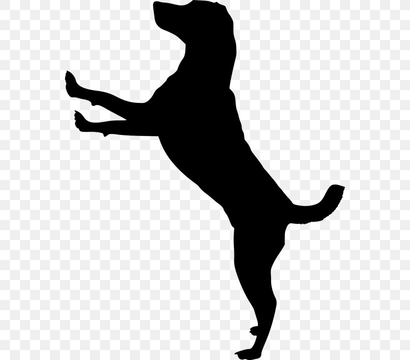 Cat Pet Silhouette Jack Russell Terrier Puppy, PNG, 560x720px, Cat, Animal Loss, Black, Black And White, Carnivoran Download Free