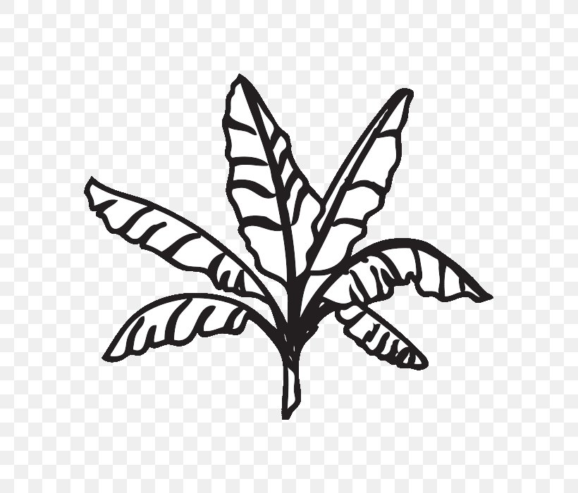 Coloring Book Banana Leaf Clip Art, PNG, 700x700px, Coloring Book, Banana, Banana Leaf, Black And White, Branch Download Free