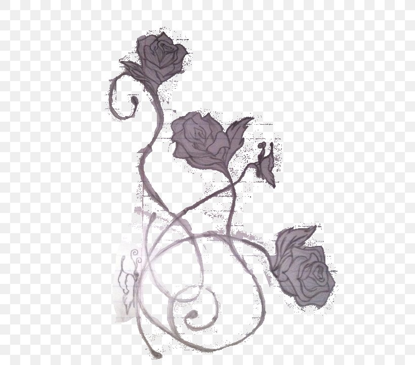 Garden Roses Tattoo Sketch, PNG, 538x720px, Garden Roses, Art, Artwork, Black And White, Black Rose Download Free