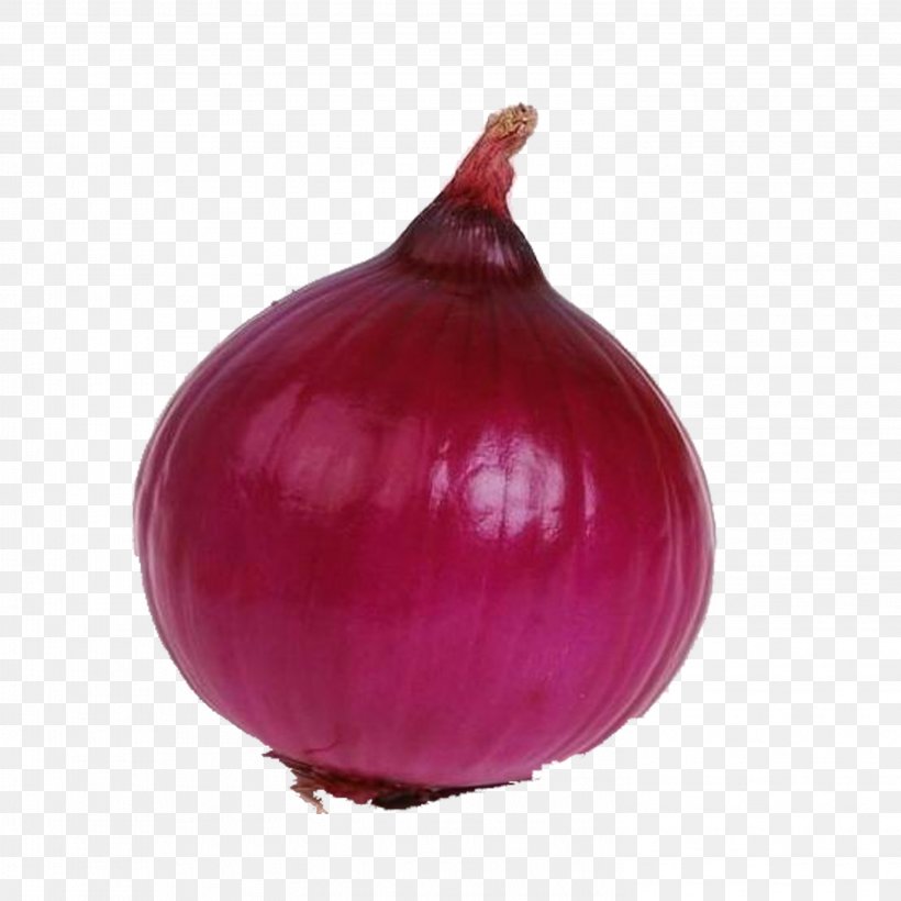 Red Onion Food Vegetable, PNG, 2953x2953px, Onion, Allium Fistulosum, Disease, Food, Fruit Download Free