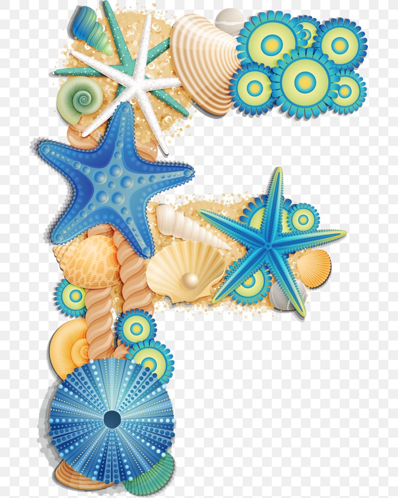 Alphabet Sea Urchin Letter Seashell, PNG, 697x1024px, Alphabet, Bivalvia, Invertebrate, Letter, Lettering Download Free