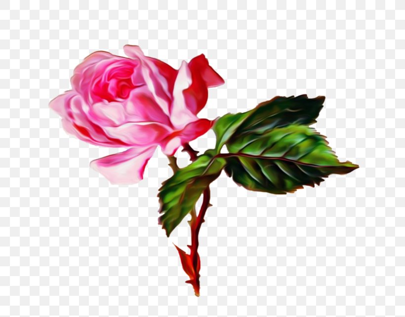 Flower Bouquet Garden Roses Gfycat, PNG, 700x643px, Flower, Animaatio, Artificial Flower, Blingee, Bud Download Free
