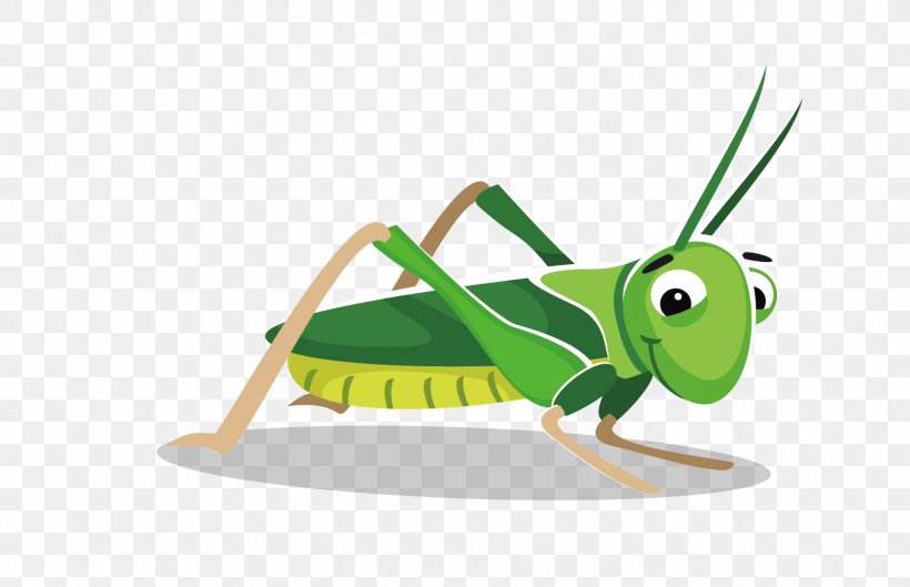 Grasshopper Cartoon Clip Art, PNG, 1696x1096px, Grasshopper, Amphibian, Animation, Brand, Cartoon Download Free