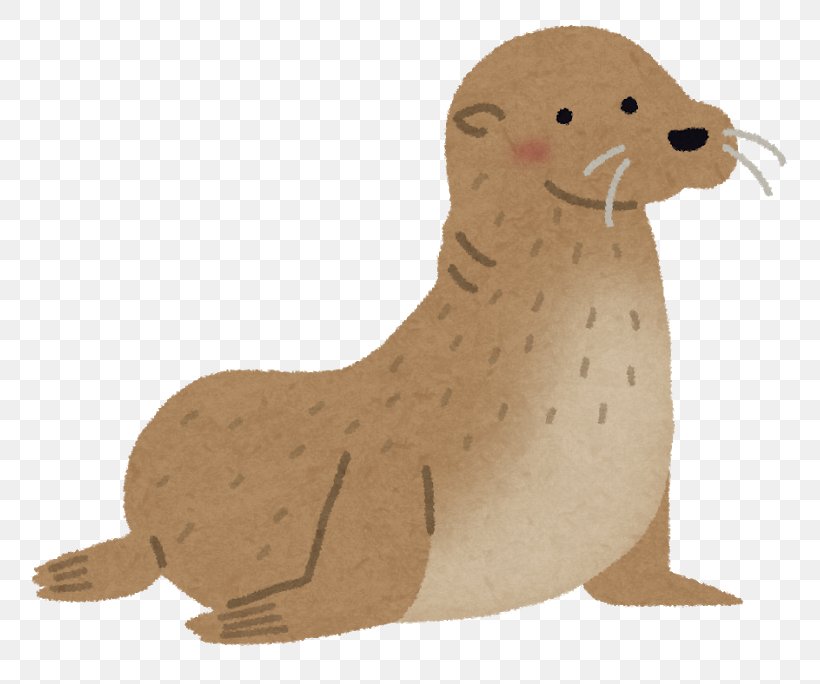 Sea Lion Fur Seal Earless Seal Cat Caniformia, PNG, 800x684px, Sea Lion, Animal, Animal Figure, Beak, Bird Download Free