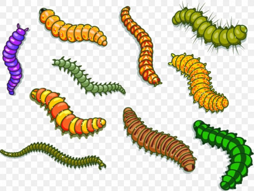 Worm Cartoon Royalty-free Illustration, PNG, 1000x751px, Worm, Cartoon, Caterpillar, Graphic Arts, Illustrator Download Free