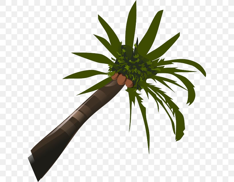 Arecaceae Coconut Clip Art, PNG, 625x640px, Arecaceae, Arecales, Coconut, Flower, Flowerpot Download Free