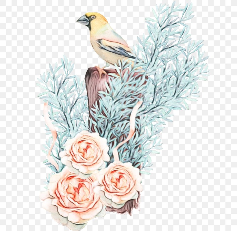 Bird Branch Plant Songbird Watercolor Paint, PNG, 636x800px, Watercolor, Bird, Branch, Finch, Paint Download Free