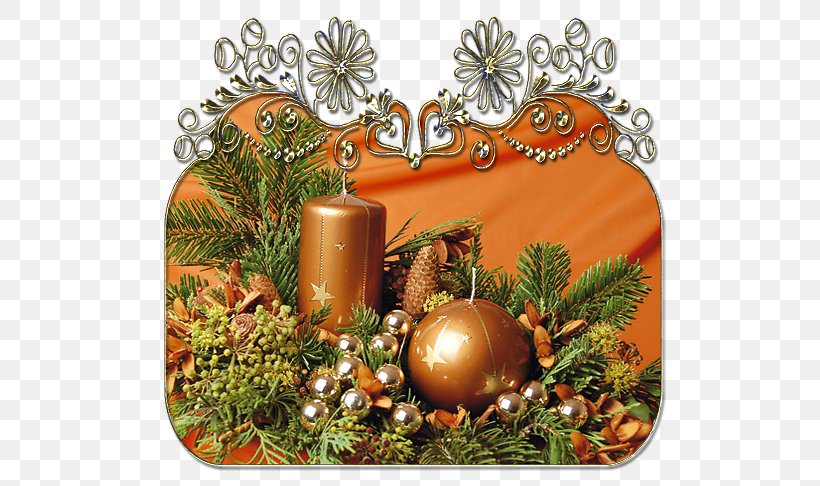 Christmas Ornament Pine Pinaceae, PNG, 544x486px, Christmas Ornament, Christmas, Christmas Decoration, Conifer, Fruit Download Free