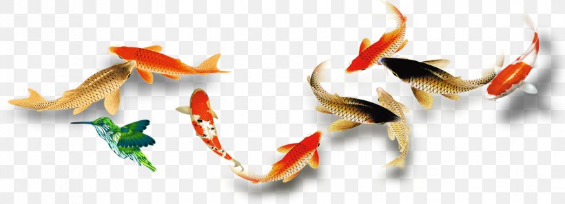 Goldfish, PNG, 1727x627px, Goldfish, Advertising, Deep Sea Fish, Fish, Gratis Download Free
