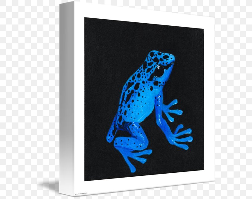 Tree Frog Cobalt Blue Picture Frames, PNG, 592x650px, Tree Frog, Amphibian, Blue, Cobalt, Cobalt Blue Download Free