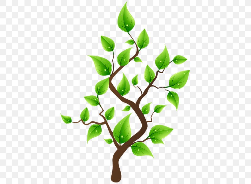 Tree Planting Flowerpot Clip Art, PNG, 429x600px, Tree, Branch, Drawing, Flowerpot, Garden Download Free