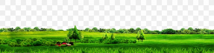 Biome Grassland Lawn Field Land Lot, PNG, 3900x969px, Biome, Agriculture, Crop, Ecosystem, Farm Download Free