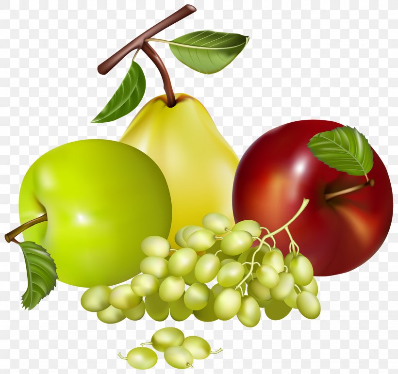Fruit Clip Art, PNG, 1536x1445px, Fruit, Apple, Diet Food, Document, Food Download Free