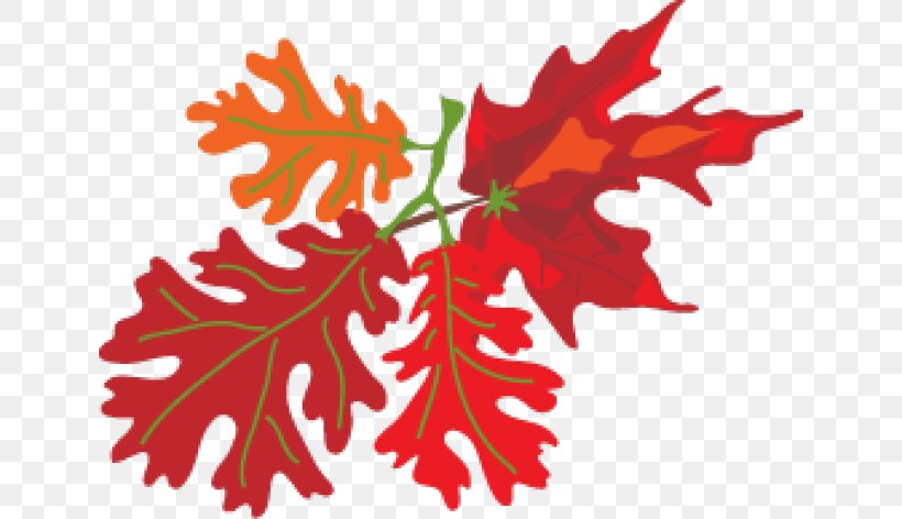 Maple Leaf Oktoberfest Clip Art, PNG, 640x472px, Maple Leaf, Branch, Branching, Flowering Plant, Leaf Download Free