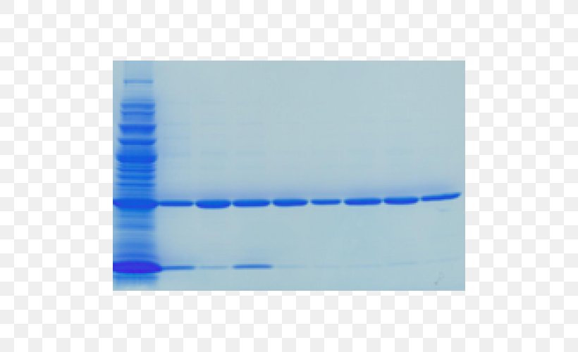 Staining Gel Electrophoresis Coomassie Brilliant Blue, PNG, 500x500px, Staining, Azure, Blue, Cobalt Blue, Colloid Download Free