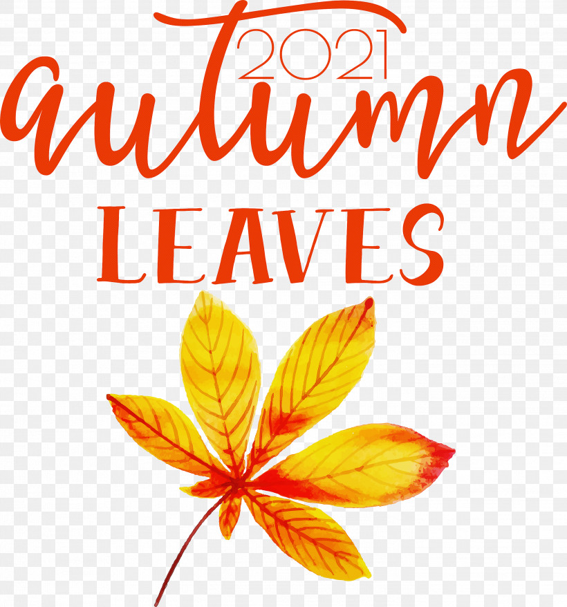 Autumn Leaves Autumn Fall, PNG, 2799x3000px, Autumn Leaves, Autumn, Biology, Cut Flowers, Fall Download Free