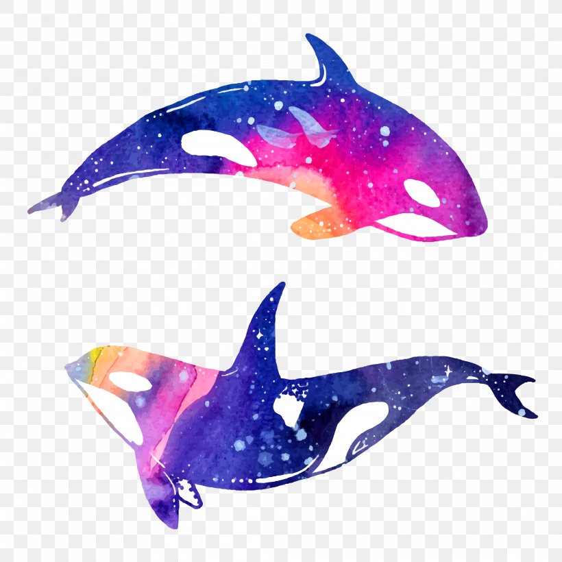 Dolphin Watercolor Painting Illustration, PNG, 4167x4167px, Dolphin, Art, Cartoon, Drawing, Fish Download Free