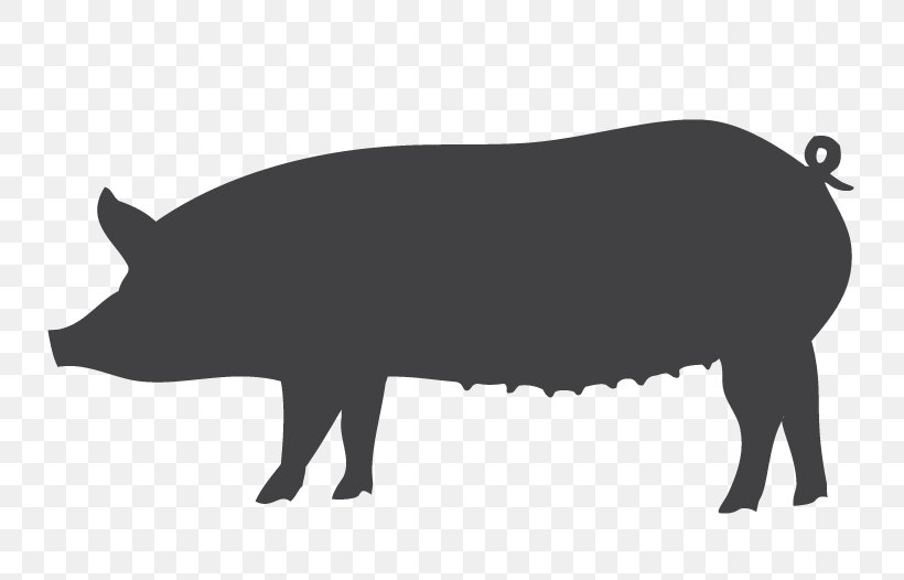 Domestic Pig Spare Ribs Cut Of Pork Ham Bacon, PNG, 772x526px, Domestic Pig, Bacon, Black And White, Butcher, Cattle Like Mammal Download Free