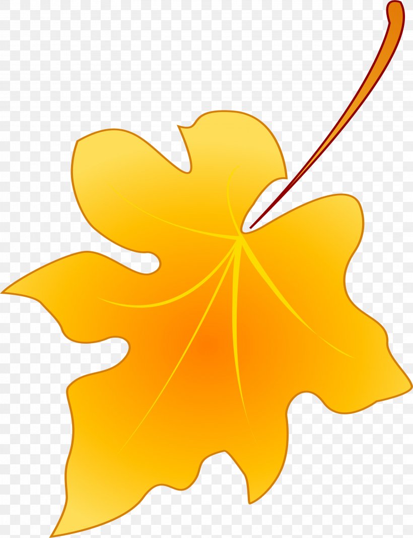 Maple Leaf Petal Flower Plant, PNG, 3146x4092px, Leaf, Flower, Flowering Plant, Fruit, Maple Download Free