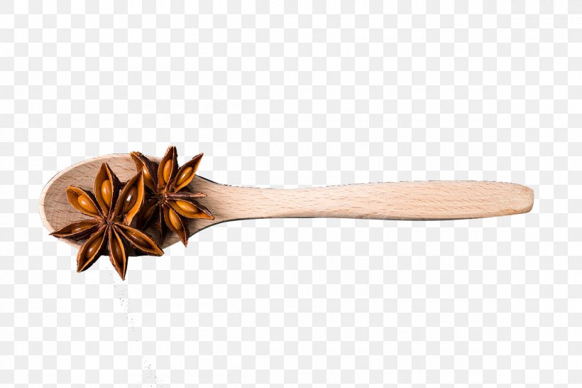 Star Anise Condiment Seasoning, PNG, 1200x800px, Anise, Condiment, Cutlery, Flavor, Food Download Free