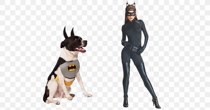 Batman Batgirl Catwoman T-shirt Robin, PNG, 1200x630px, Batman, Batgirl, Carnivoran, Catwoman, Clothing Download Free