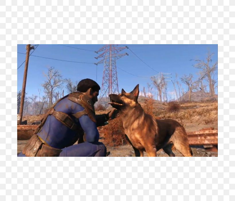 German Shepherd Australian Cattle Dog Fallout 4 Dog Breed, PNG, 700x700px, German Shepherd, Australian Cattle Dog, Bethesda Softworks, Breed Group Dog, Dog Download Free