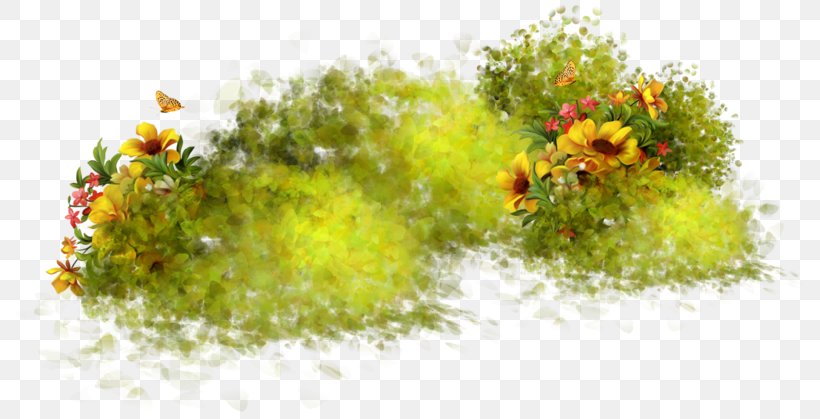 Landscape Image Graphic Design, PNG, 800x419px, Landscape, Architecture, Drawing, Flower, Flowering Plant Download Free