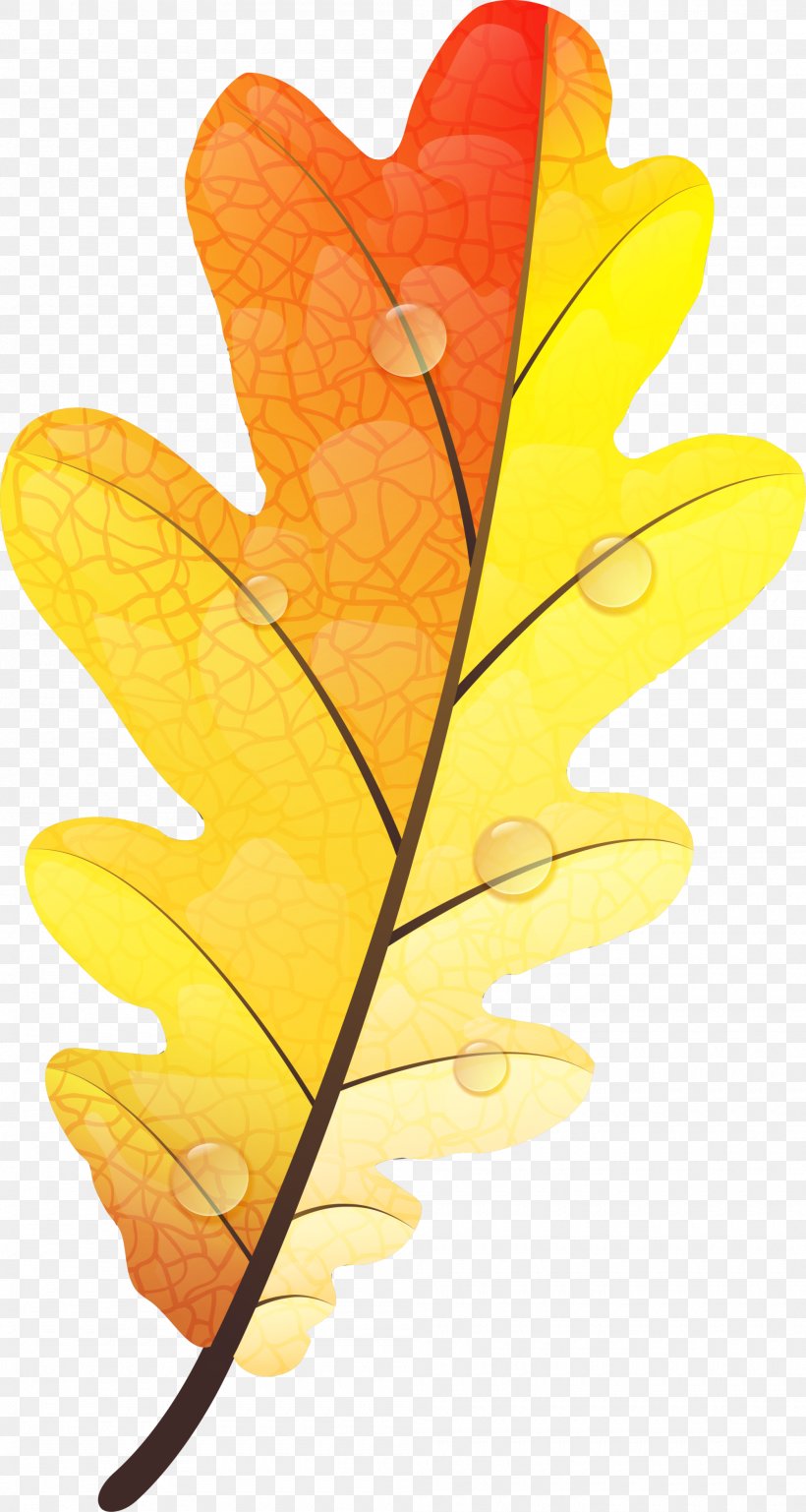 Autumn Leaf Color Yellow Autumn Leaf Color, PNG, 2000x3750px, Leaf, Art, Autumn, Autumn Leaf Color, Color Download Free