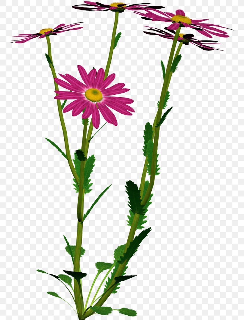 Flower Clip Art, PNG, 757x1075px, Flower, Annual Plant, Aster, Chrysanths, Cut Flowers Download Free