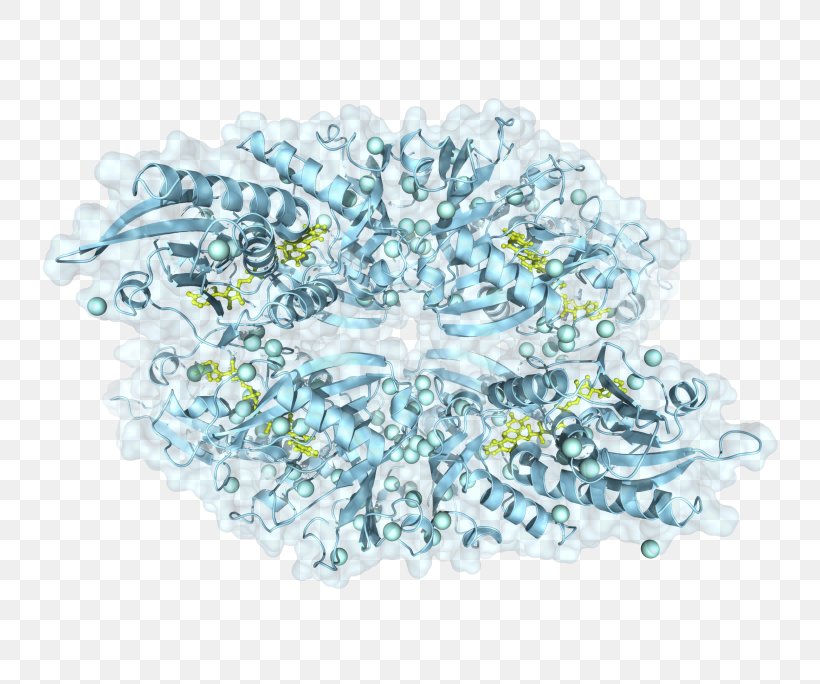 Transparency And Translucency Active Site Residue Protein, PNG, 768x684px, Transparency And Translucency, Active Site, Blue, Cofactor, Coloring Book Download Free