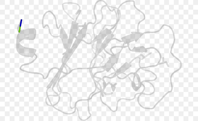 White Line Clip Art, PNG, 686x500px, White, Area, Black And White, Line Art, Tree Download Free