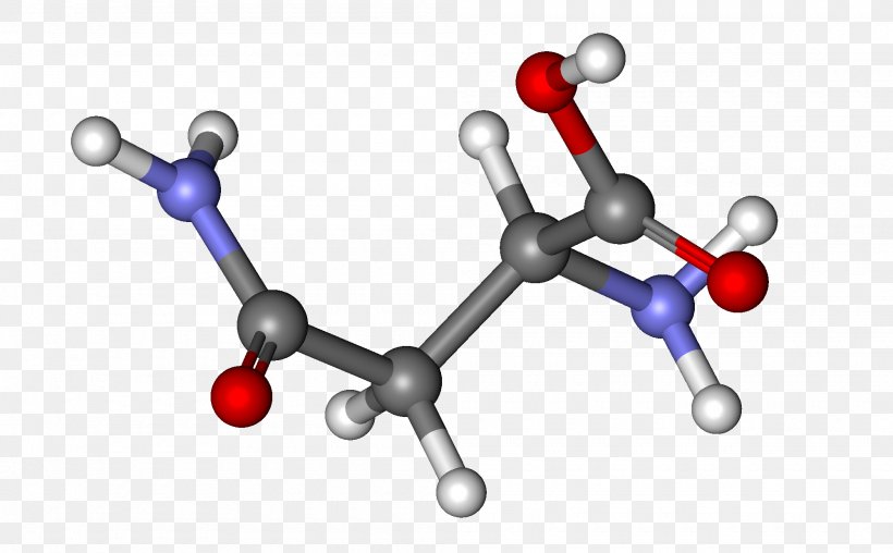 Asparagine Amide Amino Acid Aspartic Acid Codon, PNG, 2000x1240px, Asparagine, Acid, Advanced Audio Coding, Amide, Amino Acid Download Free